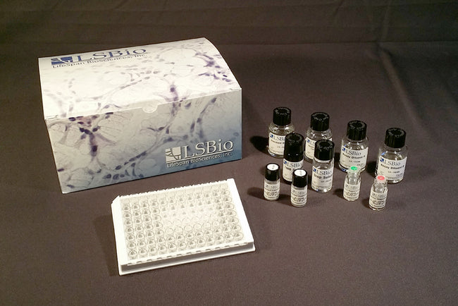 Human BMP7 Quantitative Sandwich ELISA Kit