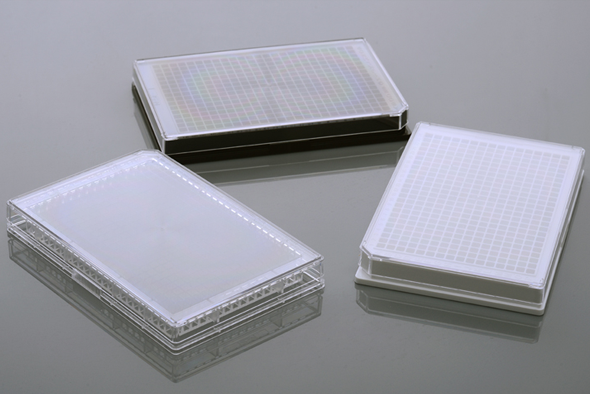 96 Well Cell Culture Plate, White Frame with Clear PS Bottom, Flat bottom, TC Treated, Sterile, 1/pack, 30/cs