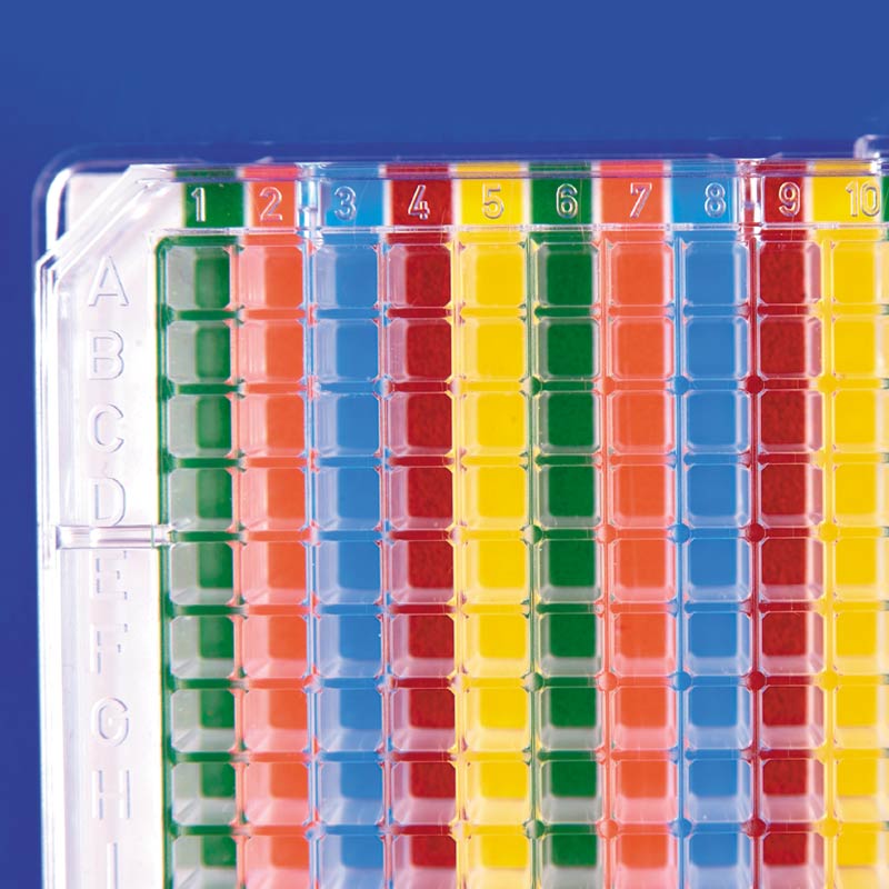 Multi-Color Well Orienter For 384-Well Plates, Vertical Stripes of Color, 2/Pack