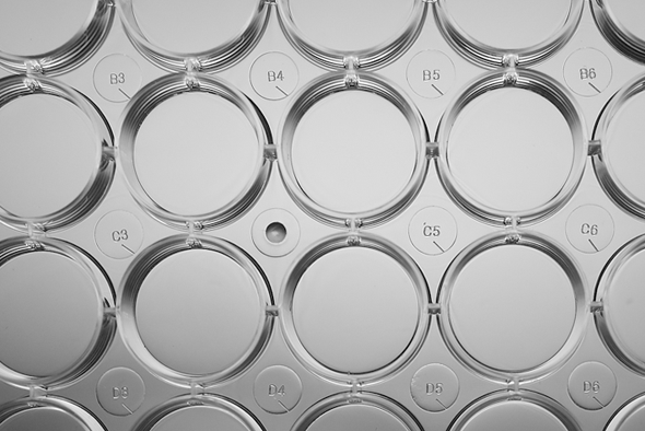 96 Well Cell Culture Plate, Black Frame with Clear PS Bottom, Flat Bottom, TC Treated, Sterile, 1/pack, 30/cs