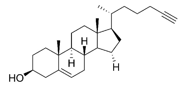 Alkyne Cholesterol - 25 mg