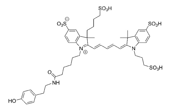 AZDye 647 Tyramide - 1500 slides