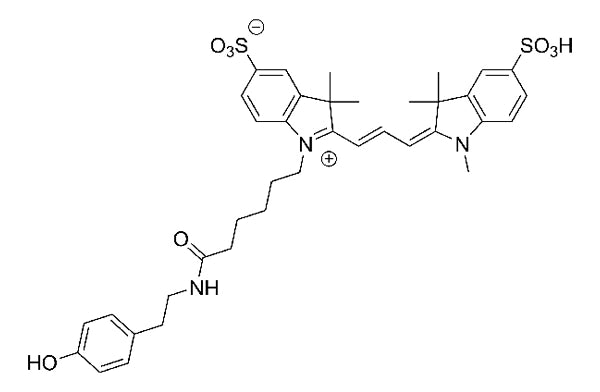 Cy3 Tyramide - 150 slides