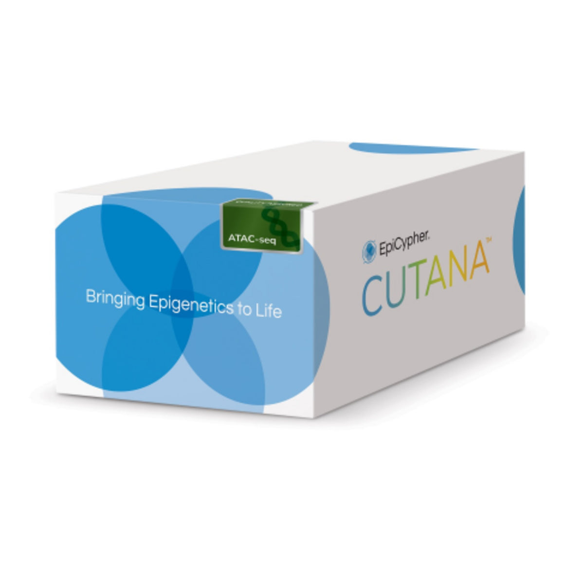 **CUTANA™ ATAC-seq Kit, 24 Reactions