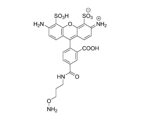 AZDye 488 Hydroxylamine - 5 mg