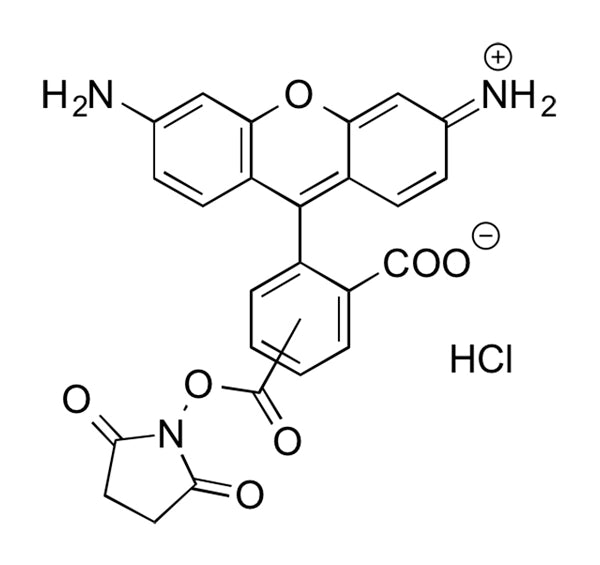 **5-Carboxyrhodamine 110 NHS Ester - 5 mg