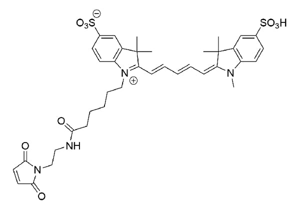 Cy5 Maleimide - 1 mg