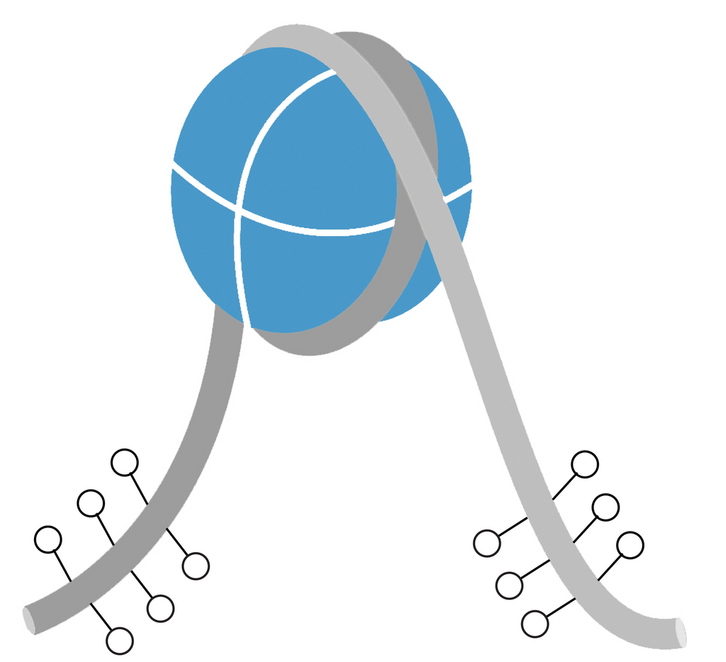 **Mononucleosomes, Recombinant, 199x601 DNA, Non-Biotinylated