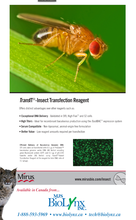 Insect Cell Transfection Reagent