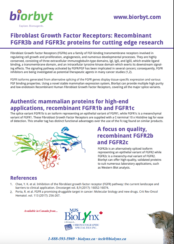 Fibroblast Growth Factor Receptors