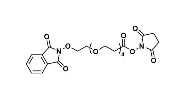 Phthalimidooxy-dPEG®₄-NHS ester - 100 mg