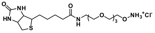Biotin-dPEG®₃-oxyamine. HCl - 50 mg