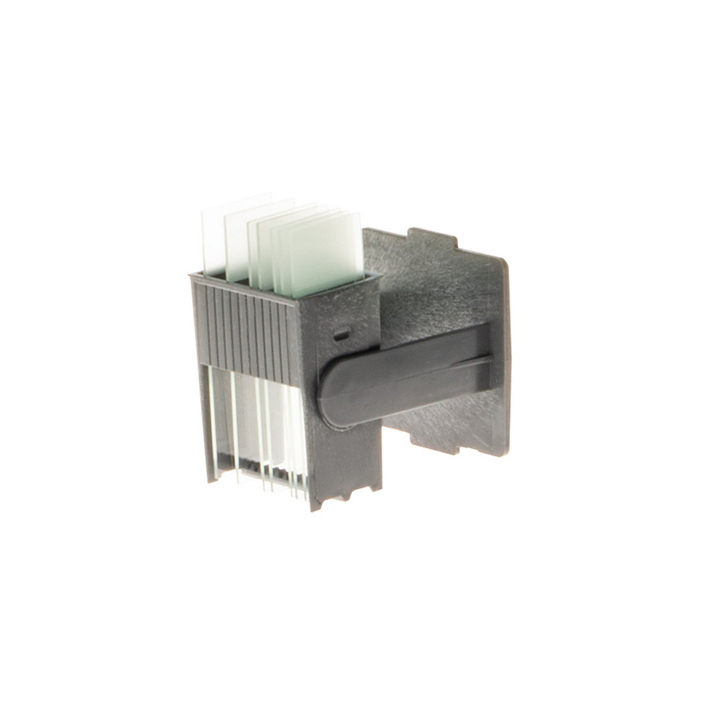 EasyDip™ slide staining rack