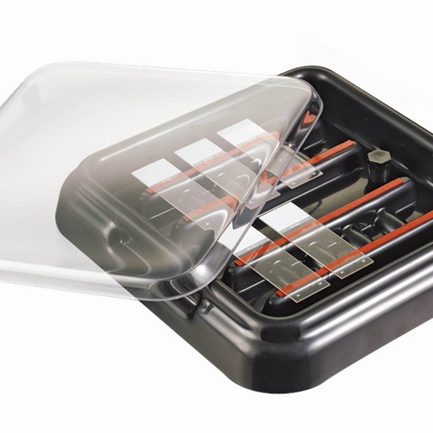 StainTray™ 10 slides staining system, Base with clear lid