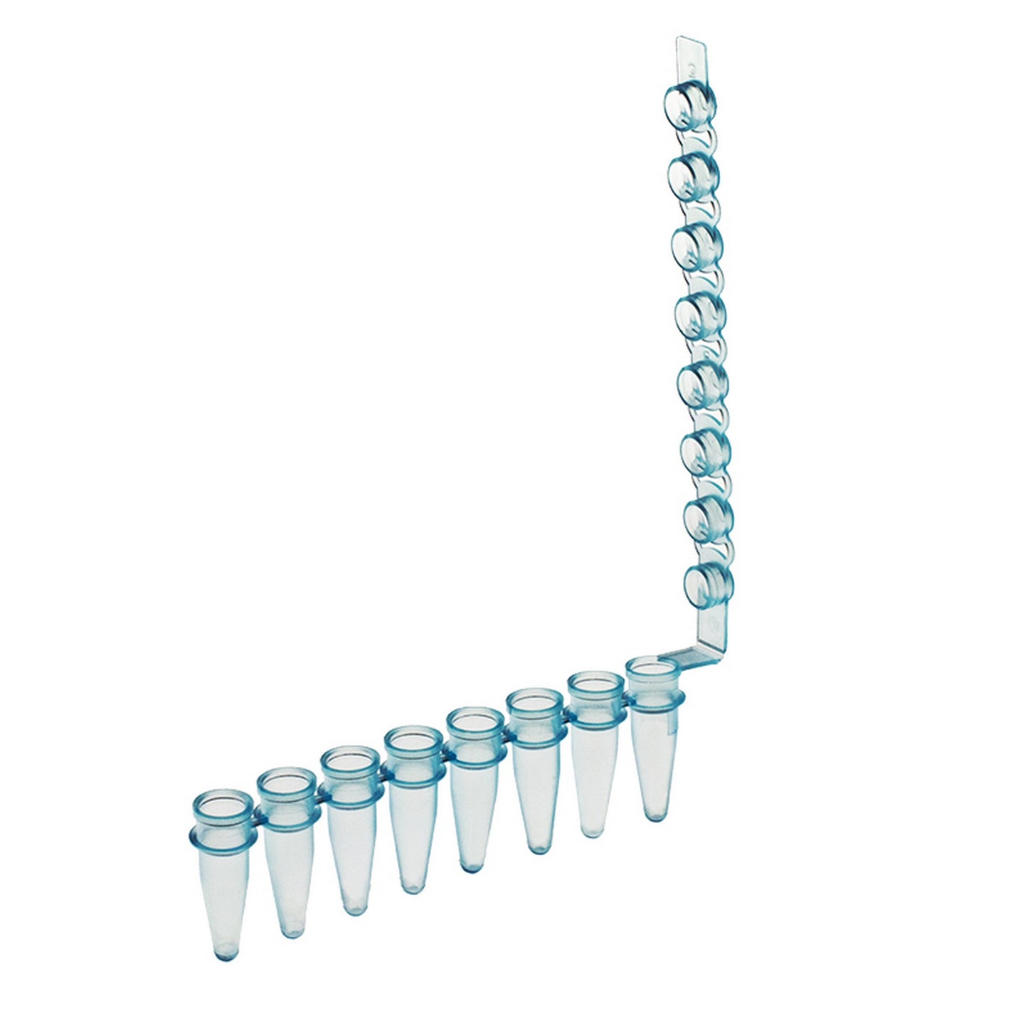 Amplitube™ 8 tube strips with domed cap, Blue