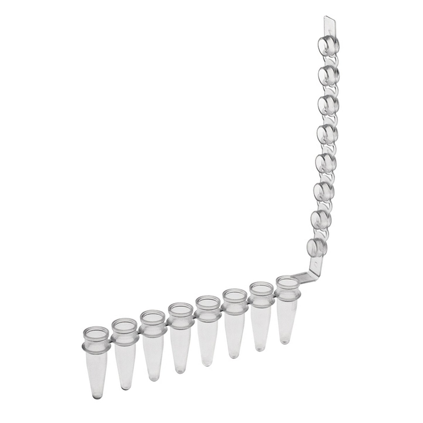 Amplitube™ 8 tube strips with domed cap, Natural
