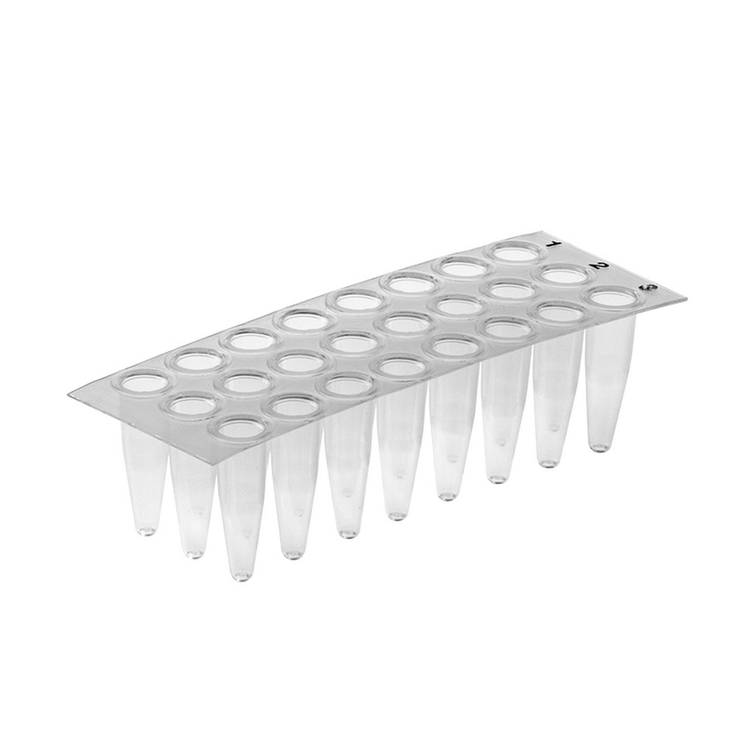AMPLATE™ Thin wall PCR plates (non-skirted) : Plate Colors - Natural, Wells - 24
