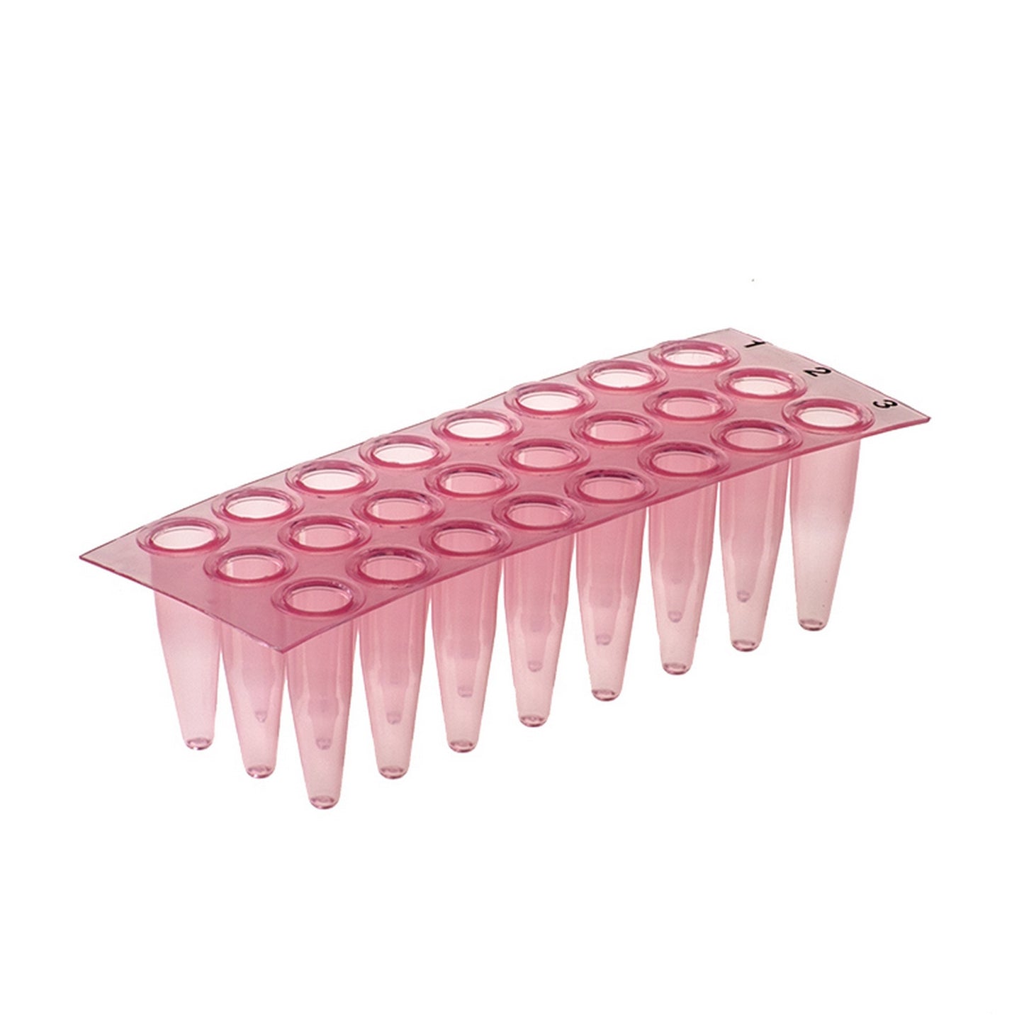 AMPLATE™ Thin wall PCR plates (non-skirted) : Plate Colors - Red, Wells - 24