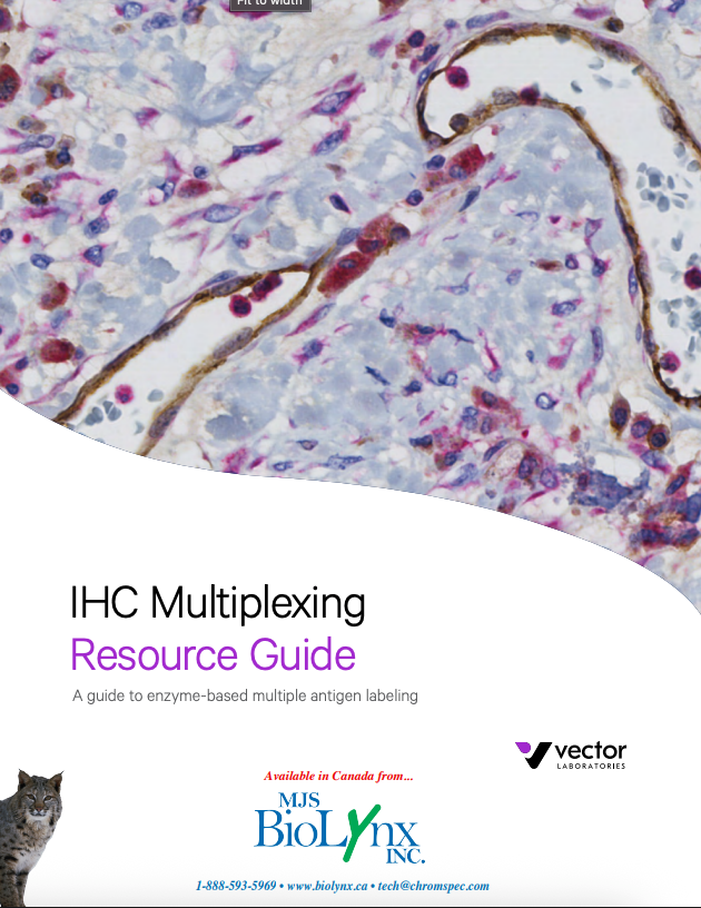 Guide to Multiple Antigen Labeling - Discovery Through Colour