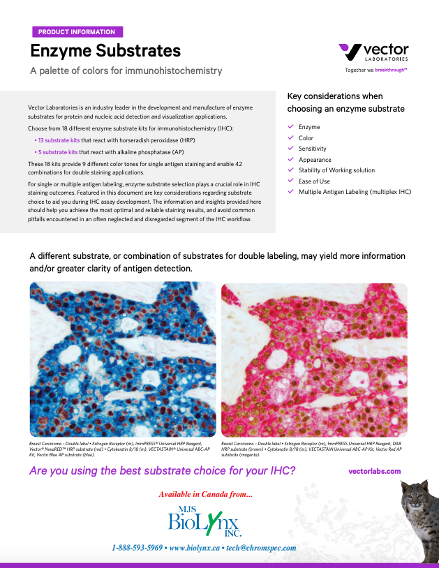 Enzyme Substrates