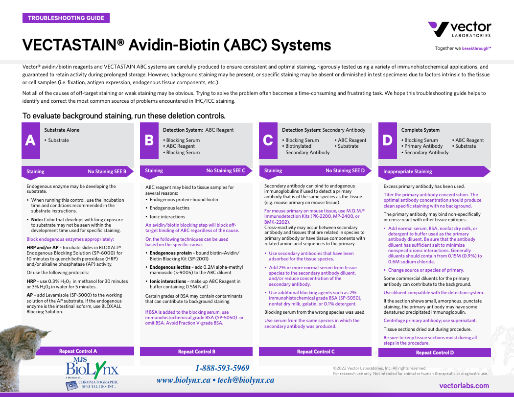 Avidin-Biotin (ABC) Systems - Troubleshooting Guide