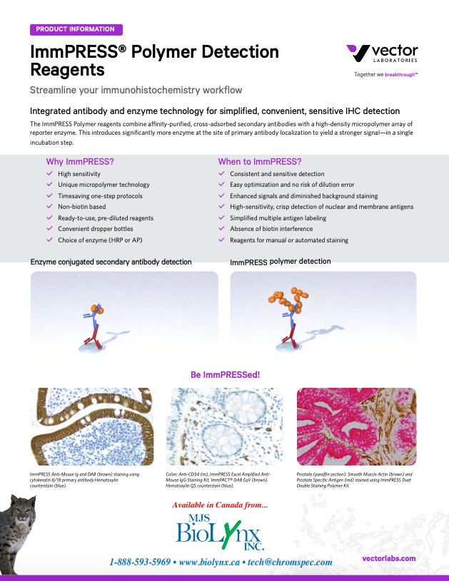 Vector® ImmPRESS™ Polymer Detection Reagents