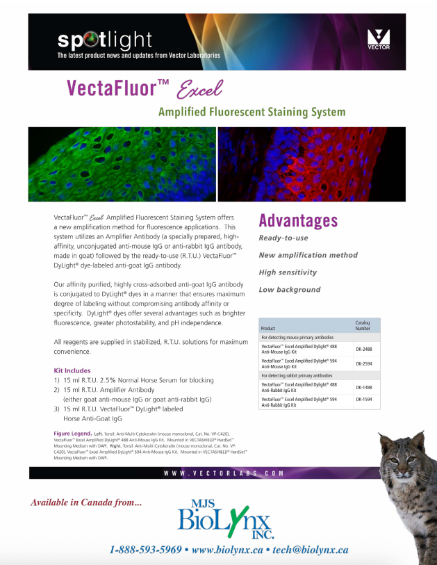 VectaFluor™ Excel Amplified Fluorescent Staining System