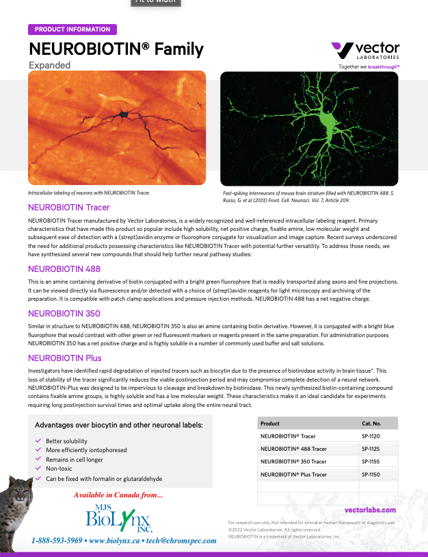 Vector® M.O.M™ (Mouse on Mouse) Immunodetection Kits