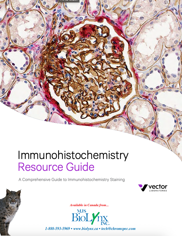 Immunohistochemistry Brochure