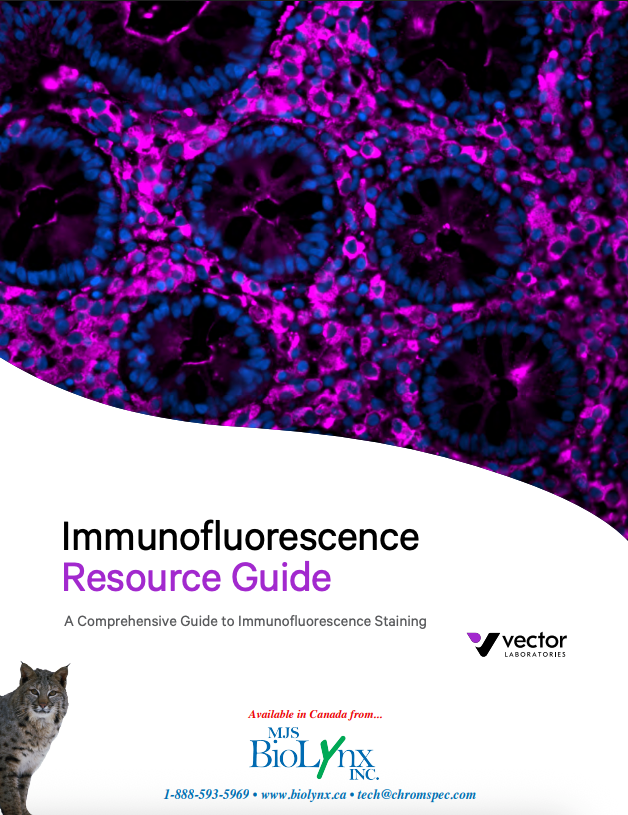 Immunofluorescence Brochure