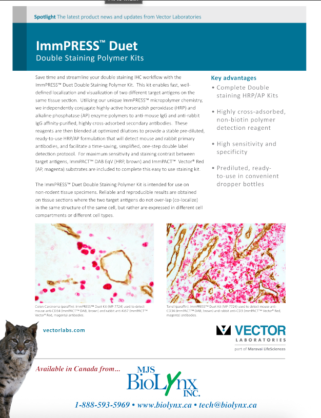 ImmPRESS Duet Double Staining Polymer Kits