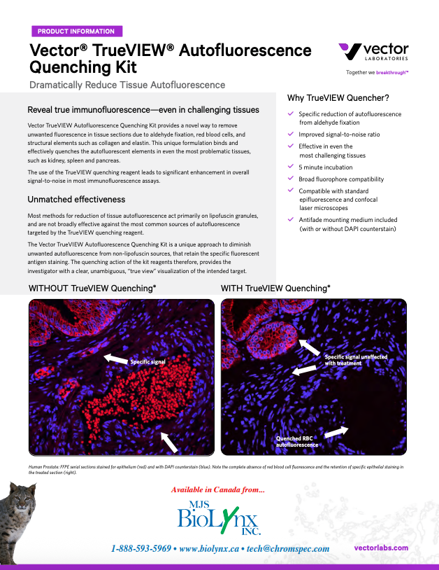 Vector® TrueVIEW™ Autofluorescence Quenching Kit