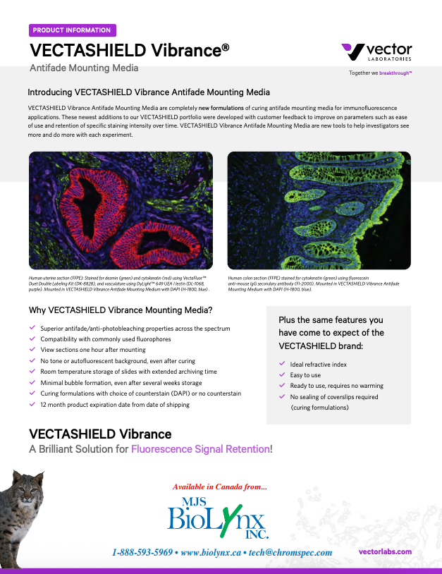 VECTASHIELD® Vibrance™ Antifade Mounting Media