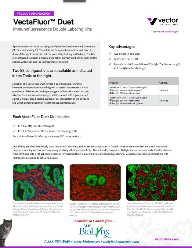 Vectafluor Duet Immunofluorescence Double labeling Kits