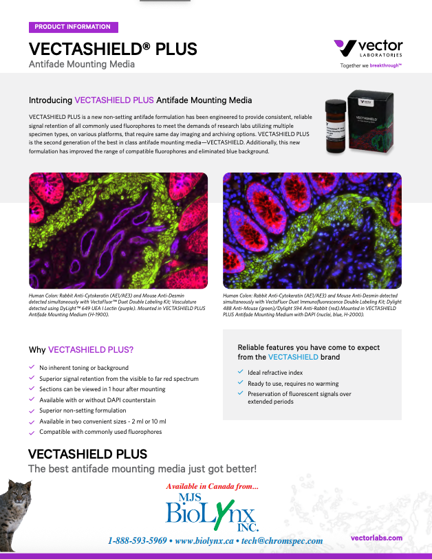 Vectashield Plus Antifade Mounting Media