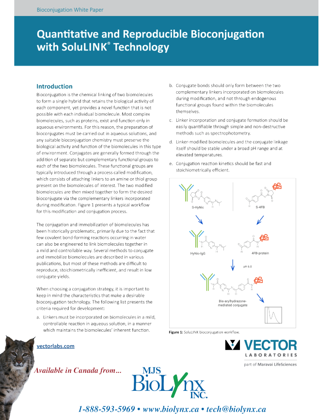 Quantitative & Reproducible Bioconjugation with SoluLINK Technology