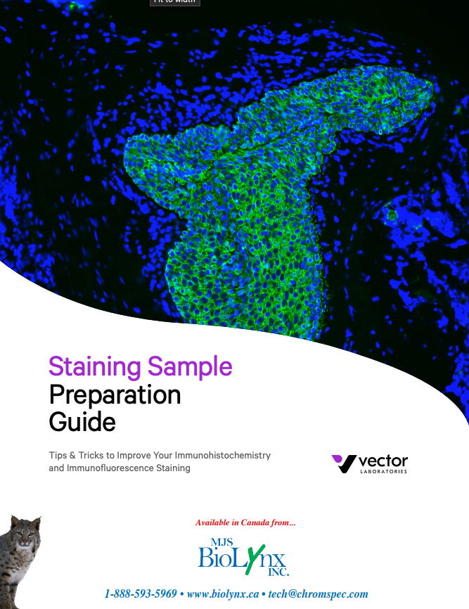 Staining Sample Preparation Guide