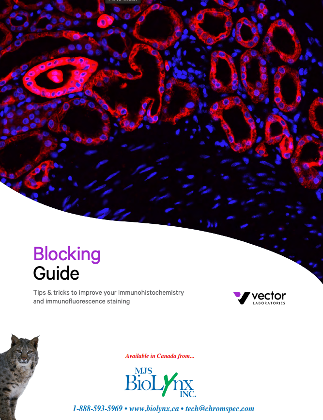 Blocking Guides