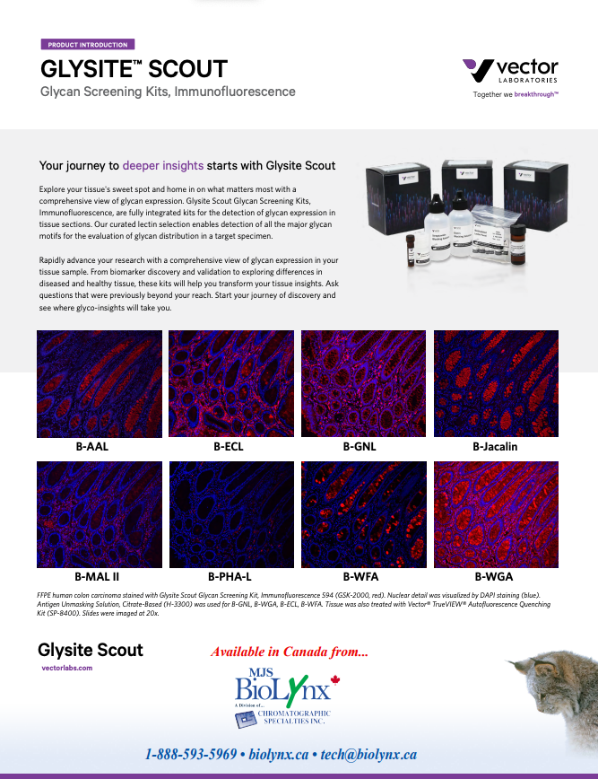 Vector Glysite