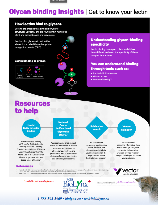 Vector Glycan Binding Insights
