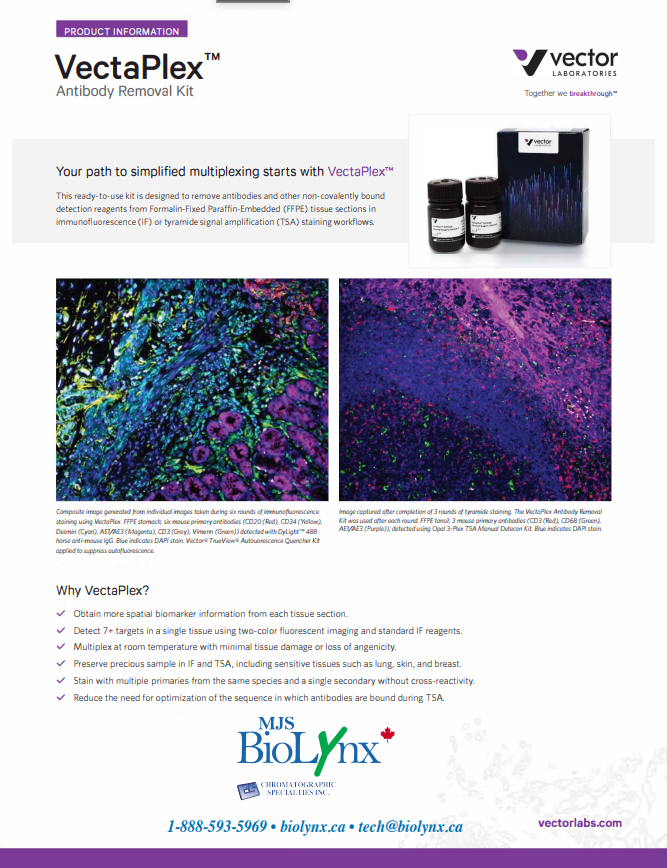 VectaPlexTM Antibody Removal Kit