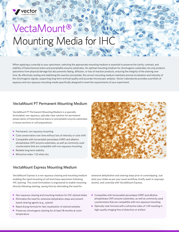 VectaMount® Mounting Media for IHC