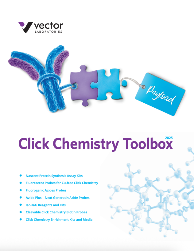 Click Chemistry Toolbox 2025