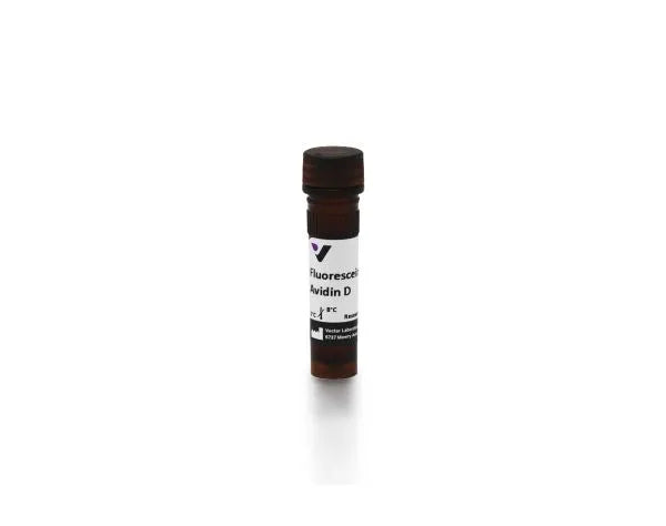 Fluorescein Avidin D (FITC)