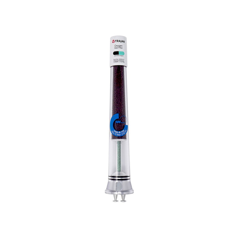 Indicating Oxygen Baseplate Gas Filter