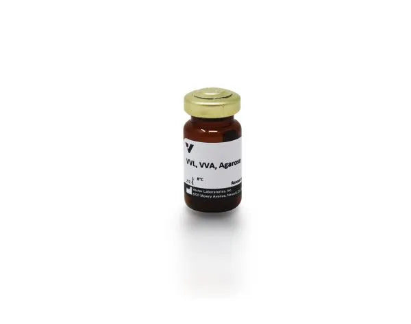 Image of VECTAL1233 - Vicia villosa lectin (VVL, VVA), Agarose bound
