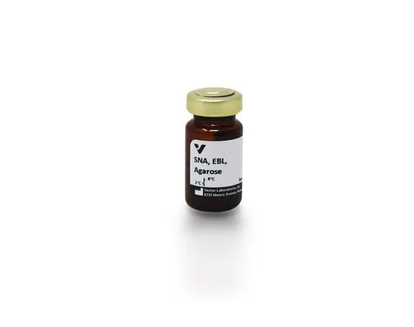Image of VECTAL1303 - Sambucus nigra lectin (SNA, EBL), Agarose bound