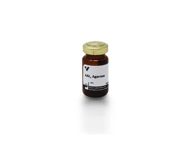 Image of VECTAL1393 - Aleuria aurantia lectin (AAL), Agarose bound
