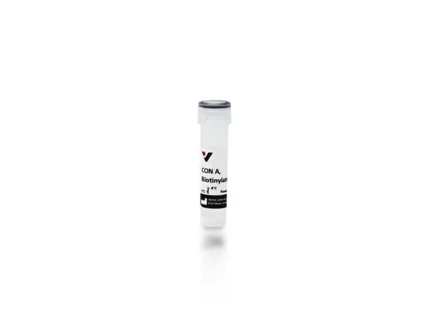 Concanavalin A (Con A), Biotinylated