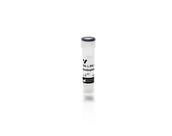 Image of VECTB1105 - Griffonia (Bandeiraea) simplicifolia lectin I (GSL I, BSL I), Biotinylated